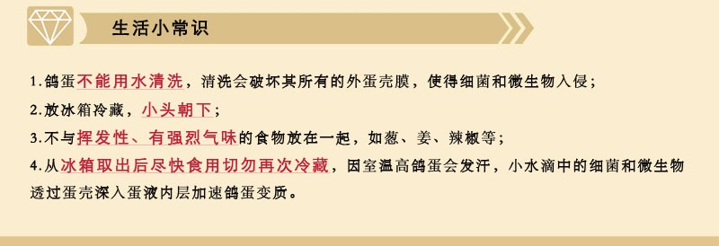 12枚裝商務(wù)版_16