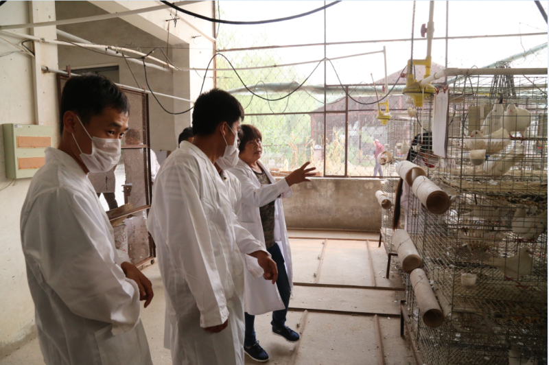 QQ圖片20160927103247