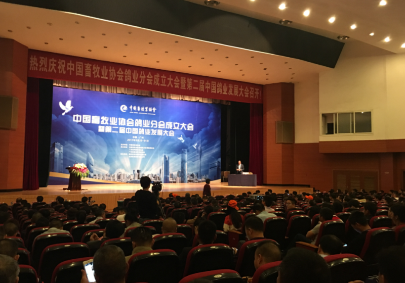 QQ圖片20170408111018